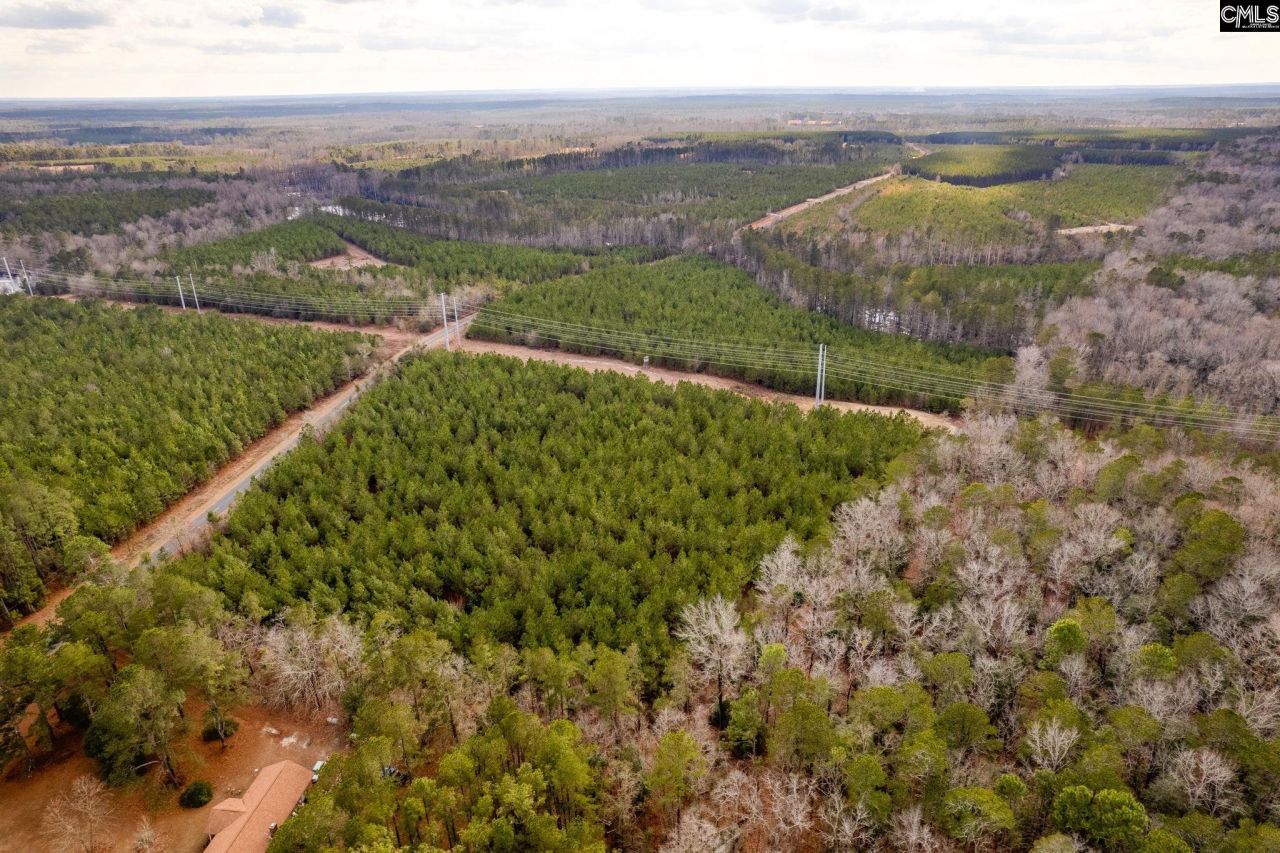 Tbd Catalina Blvd Lot 14  Photo 11