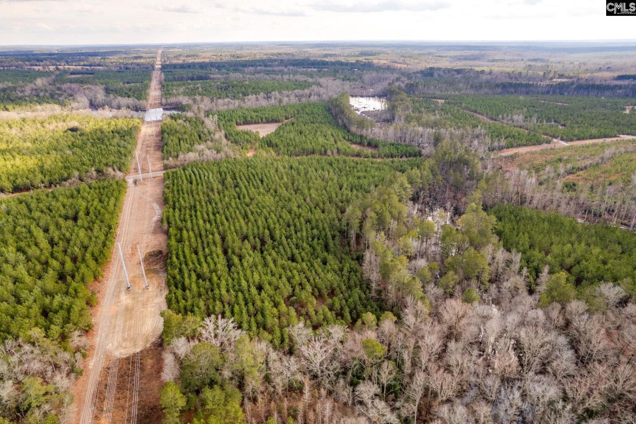 Tbd Catalina Blvd Lot 14  Photo 13