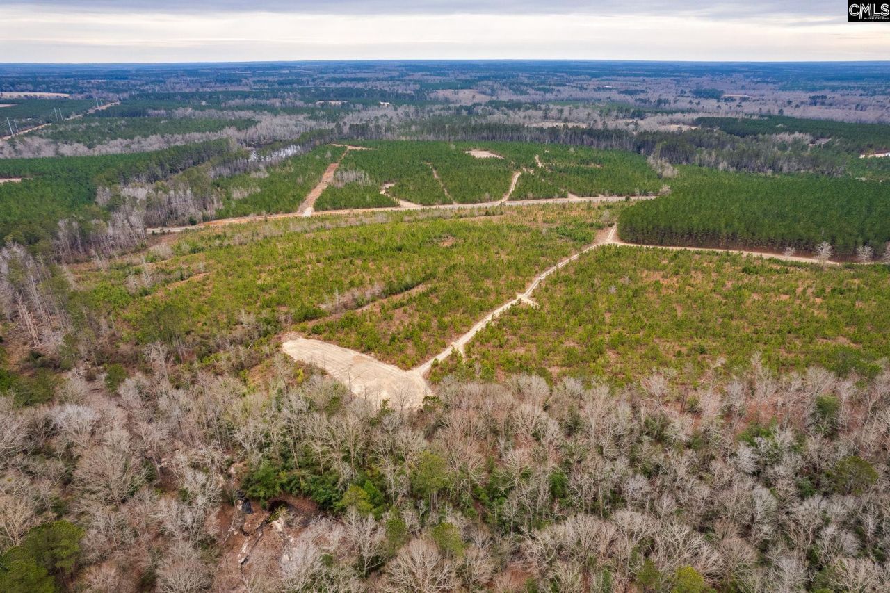 Tbd Catalina Blvd Lot 14  Photo 15