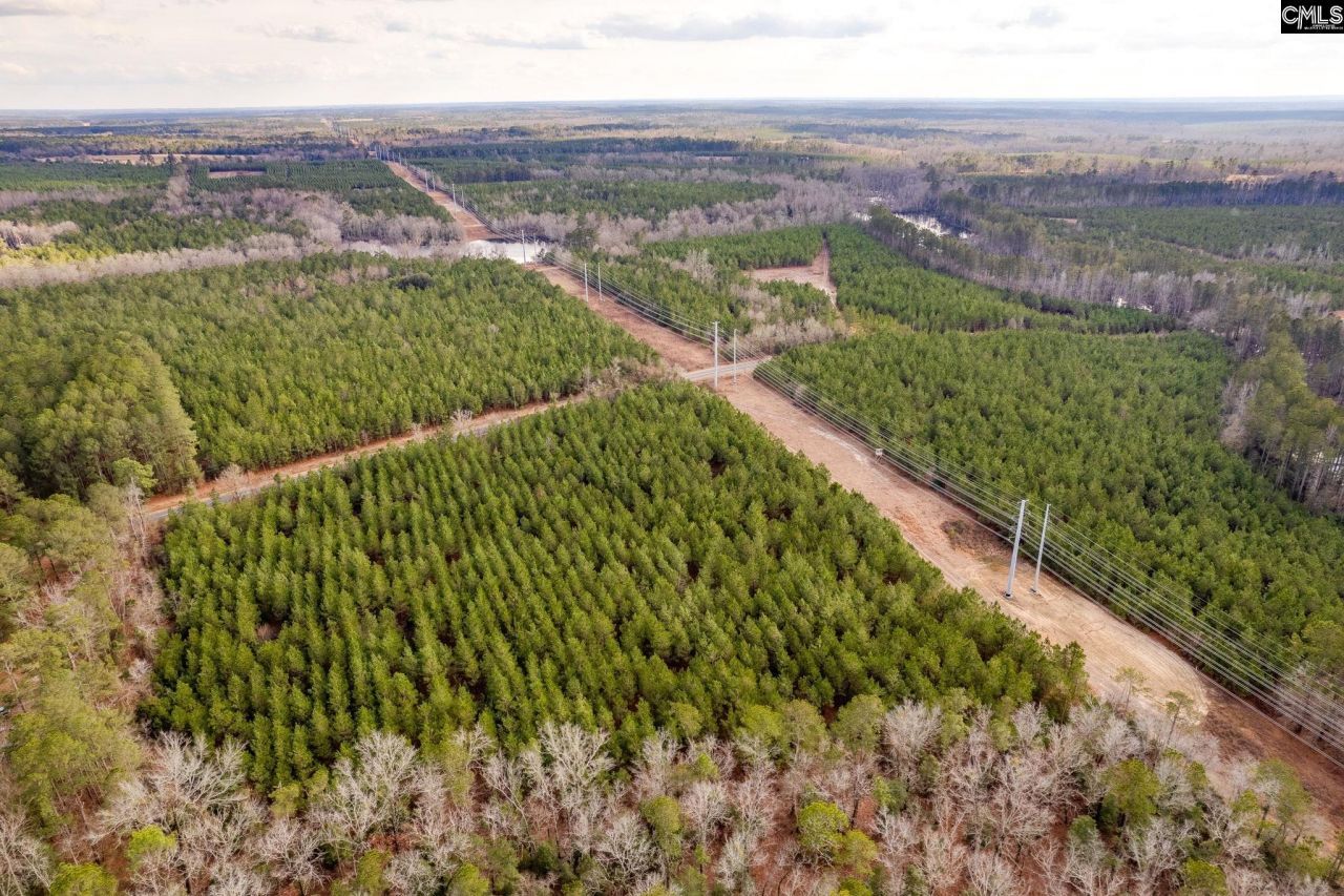 Tbd Catalina Blvd Lot 12  Photo 12