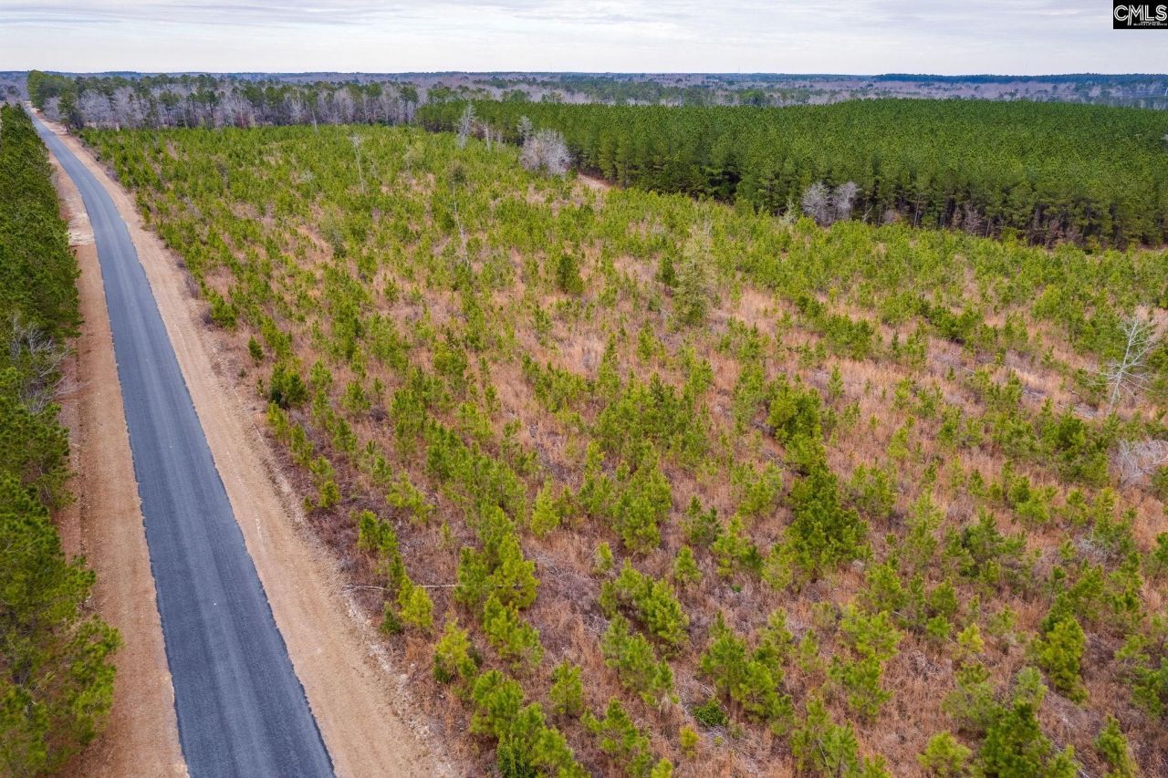 Tbd Catalina Blvd Lot 12  Photo 20