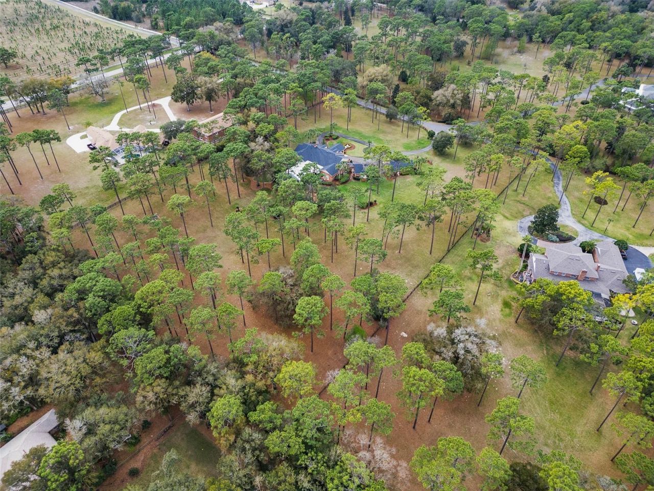 2333 Southern Pines Place, Deland, FL 32724 Photo