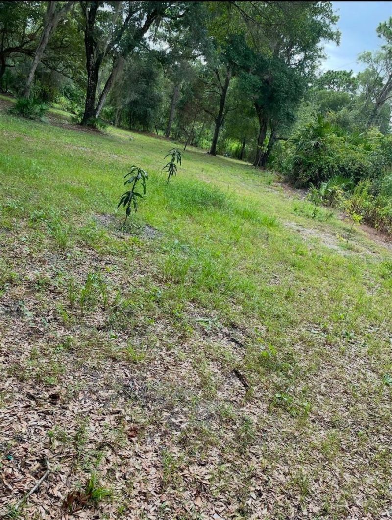 1301 Arapaho Trail, Geneva, FL 32732 Main Photo