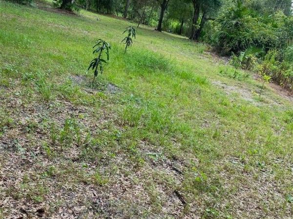 1301 ARAPAHO TRAIL, GENEVA, FL 32732