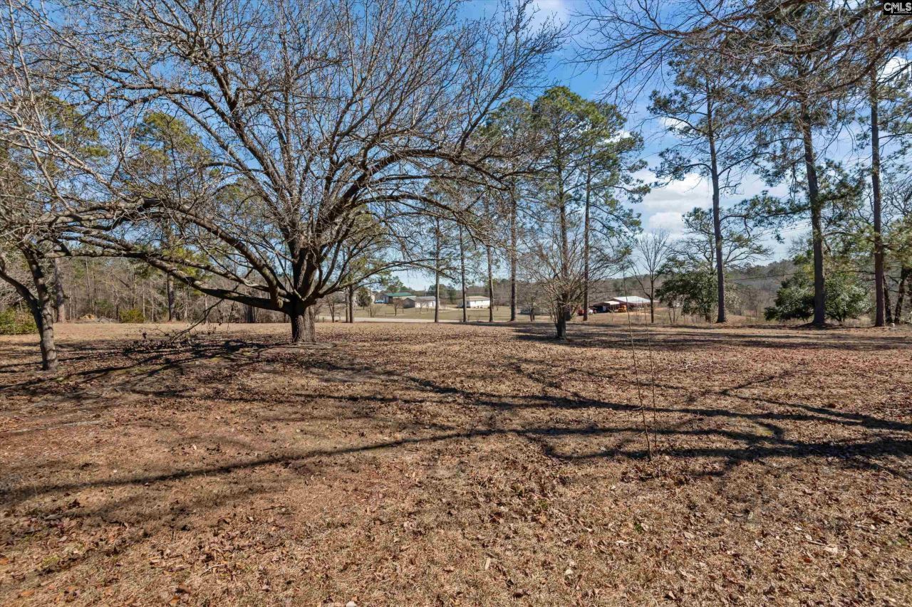 336 Muddy Springs Road  Photo 6