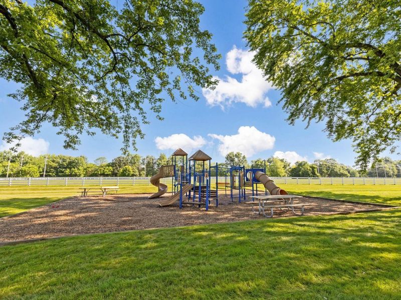 1297 Bayboro Drive, New Albany, OH 43054 Photo 49