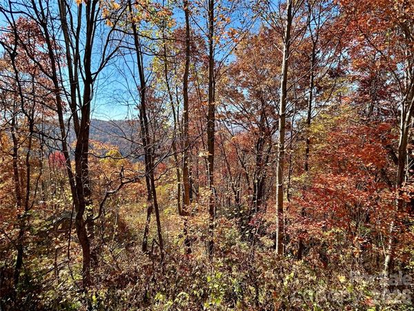 0 Grizzly Ridge , Bryson City, NC 28713