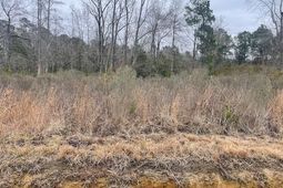 3137 Deer Creek Dr.  photo 4