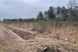 3137 Deer Creek Dr.  photo 4