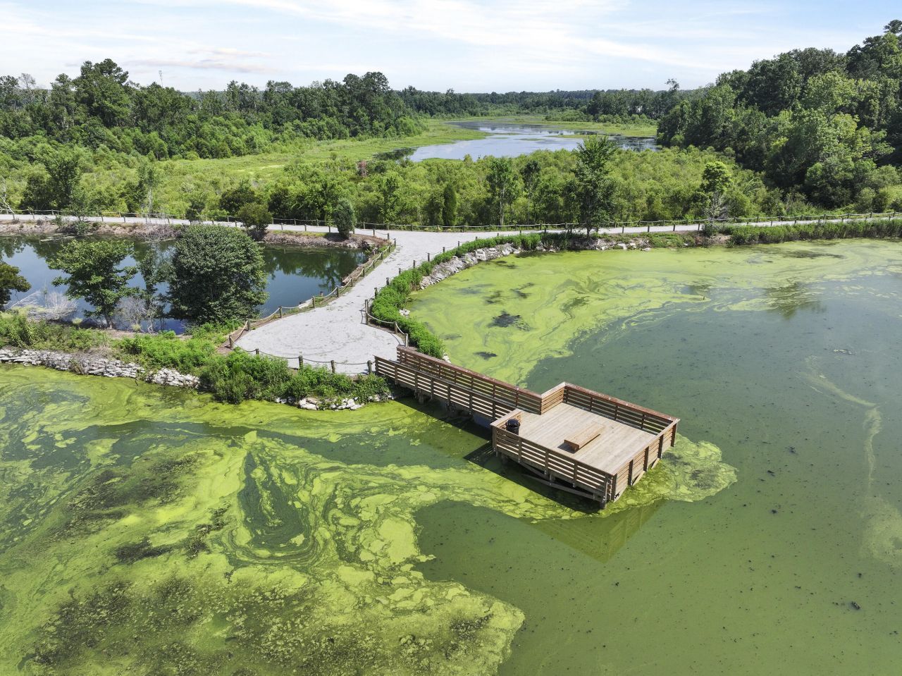 512 Tulip Poplar Drive Photo 15