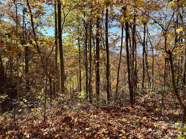 0 Owle View , Bryson City, NC 28713