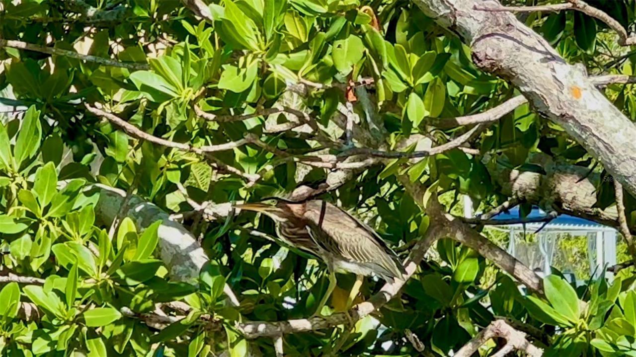 9397 Midnight Pass Road, Unit 901, Sarasota, FL 34242 Photo