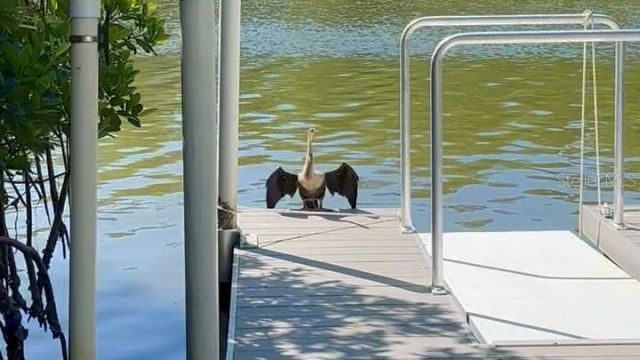 9397 Midnight Pass Road, Unit 901, Sarasota, FL 34242 Photo