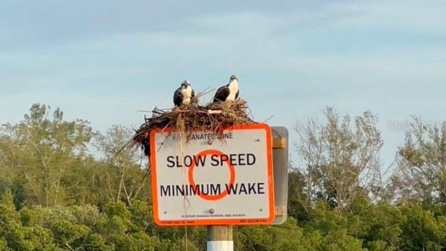 9397 Midnight Pass Road, Unit 901, Sarasota, FL 34242 Photo