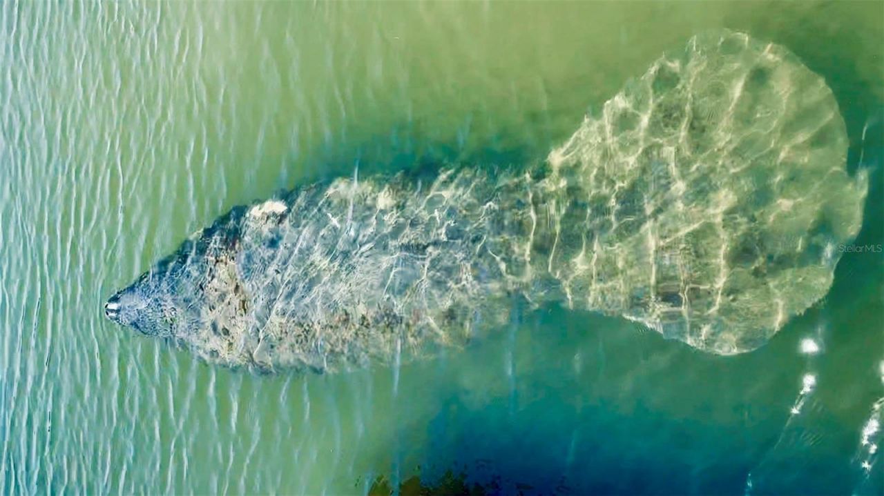 9397 Midnight Pass Road, Unit 901, Sarasota, FL 34242 Photo