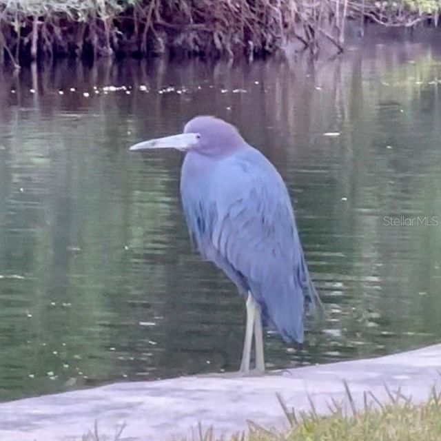 9397 Midnight Pass Road, Unit 901, Sarasota, FL 34242 Photo