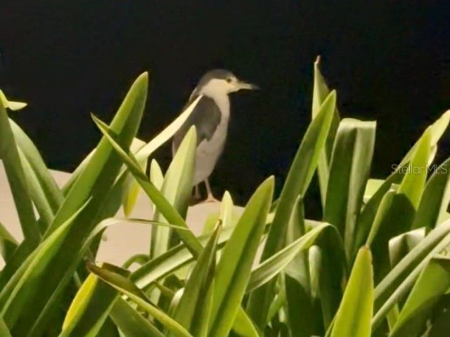 9397 Midnight Pass Road, Unit 901, Sarasota, FL 34242 Photo