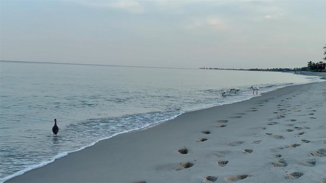 9397 Midnight Pass Road, Unit 901, Sarasota, FL 34242 Photo