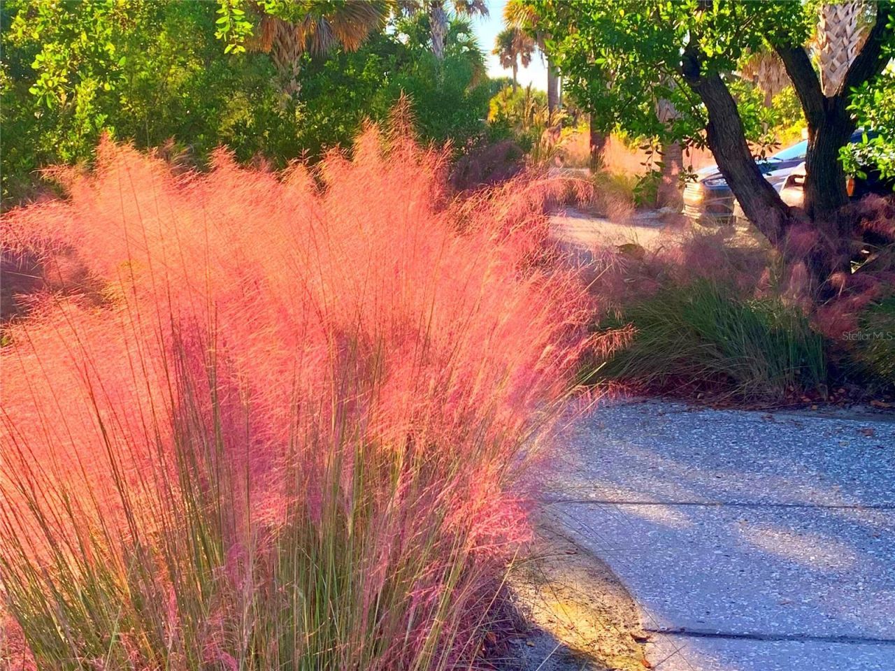 9397 Midnight Pass Road, Unit 901, Sarasota, FL 34242 Photo