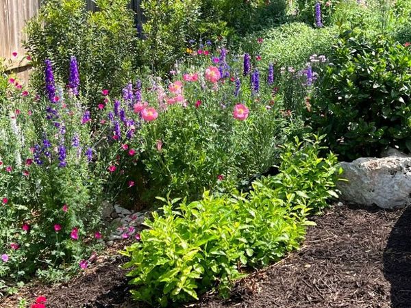 515 Stonewood, San Antonio, TX 78216