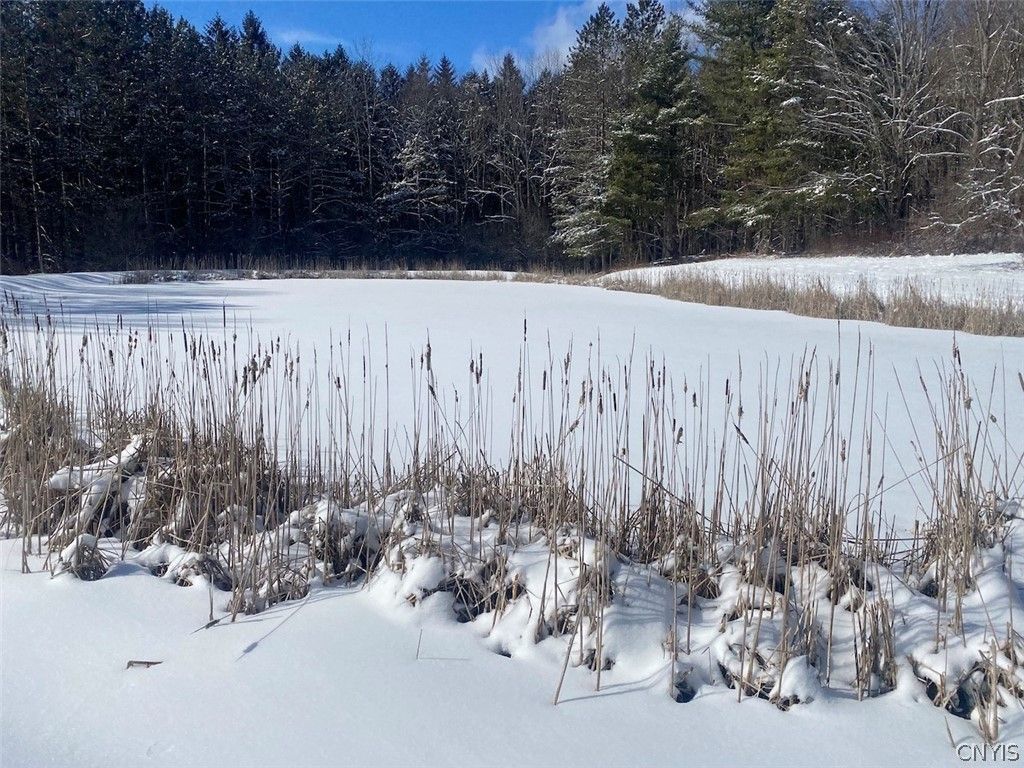 West Hill Road, Belfast, NY 14711 Main Photo