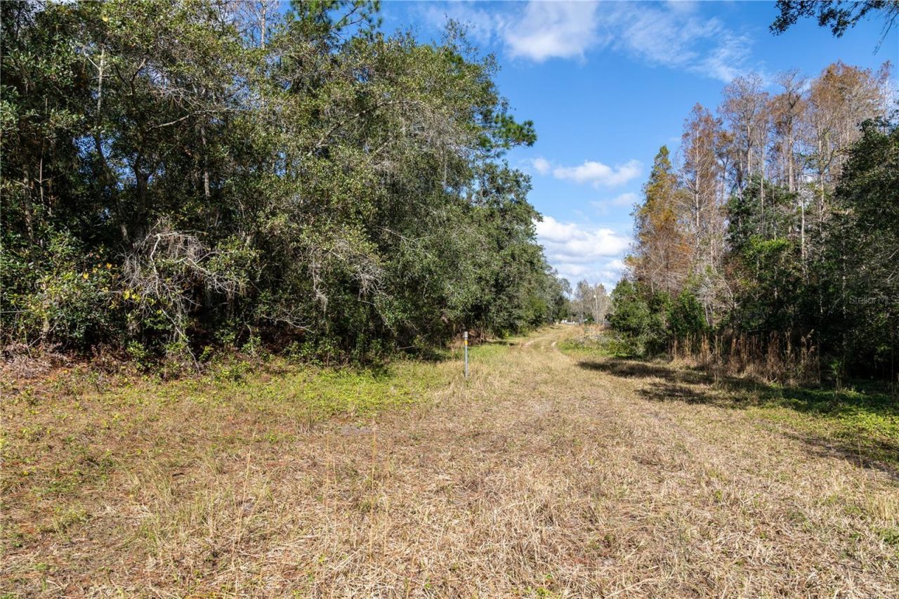 11560 Tarpon Springs, Odessa, FL 33556 Photo