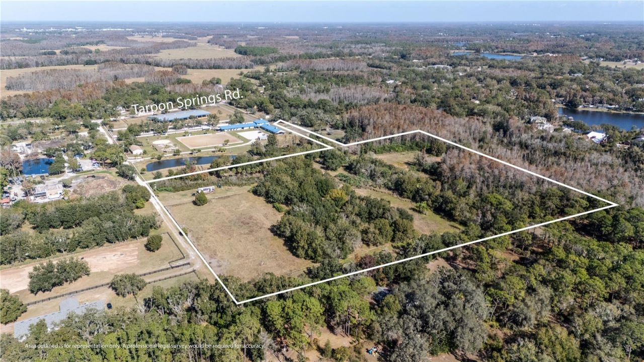 11560 Tarpon Springs, Odessa, FL 33556 Photo