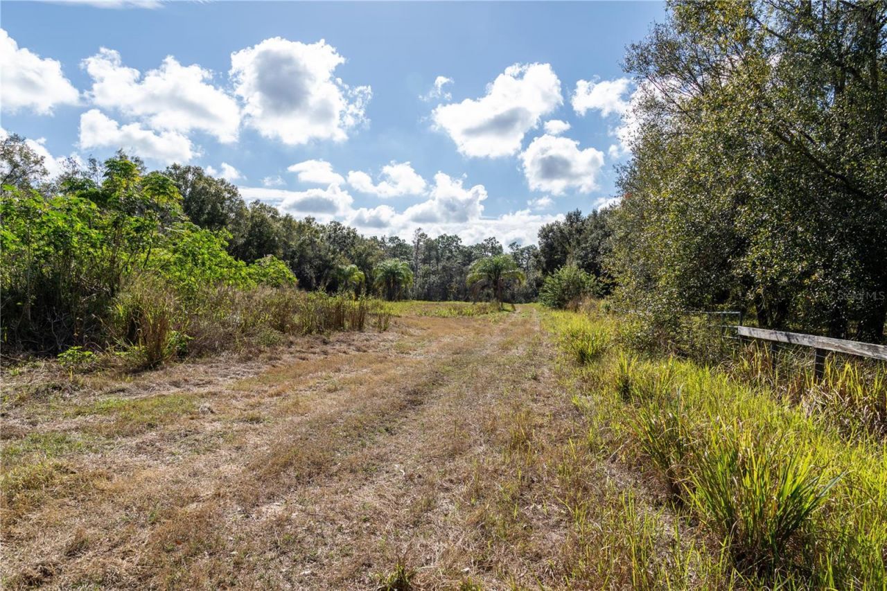 11560 Tarpon Springs, Odessa, FL 33556 Photo