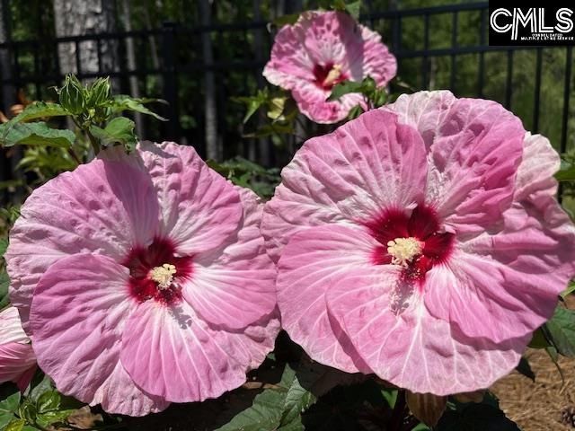 150 Stewart Landing Drive  Photo 75