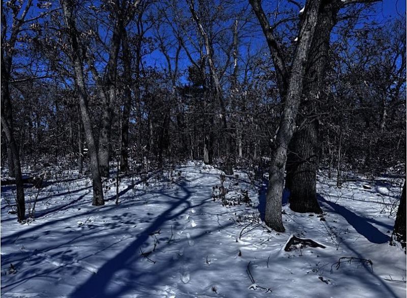 Lot 10 Bayview Lane, Lyndon Station, WI 53944 Main Photo