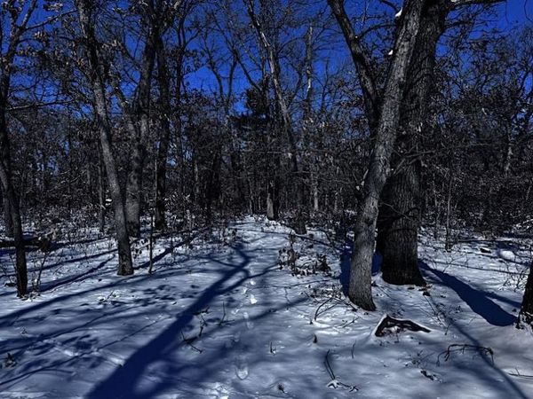 Lot 10 Bayview Lane, Lyndon Station, WI 53944