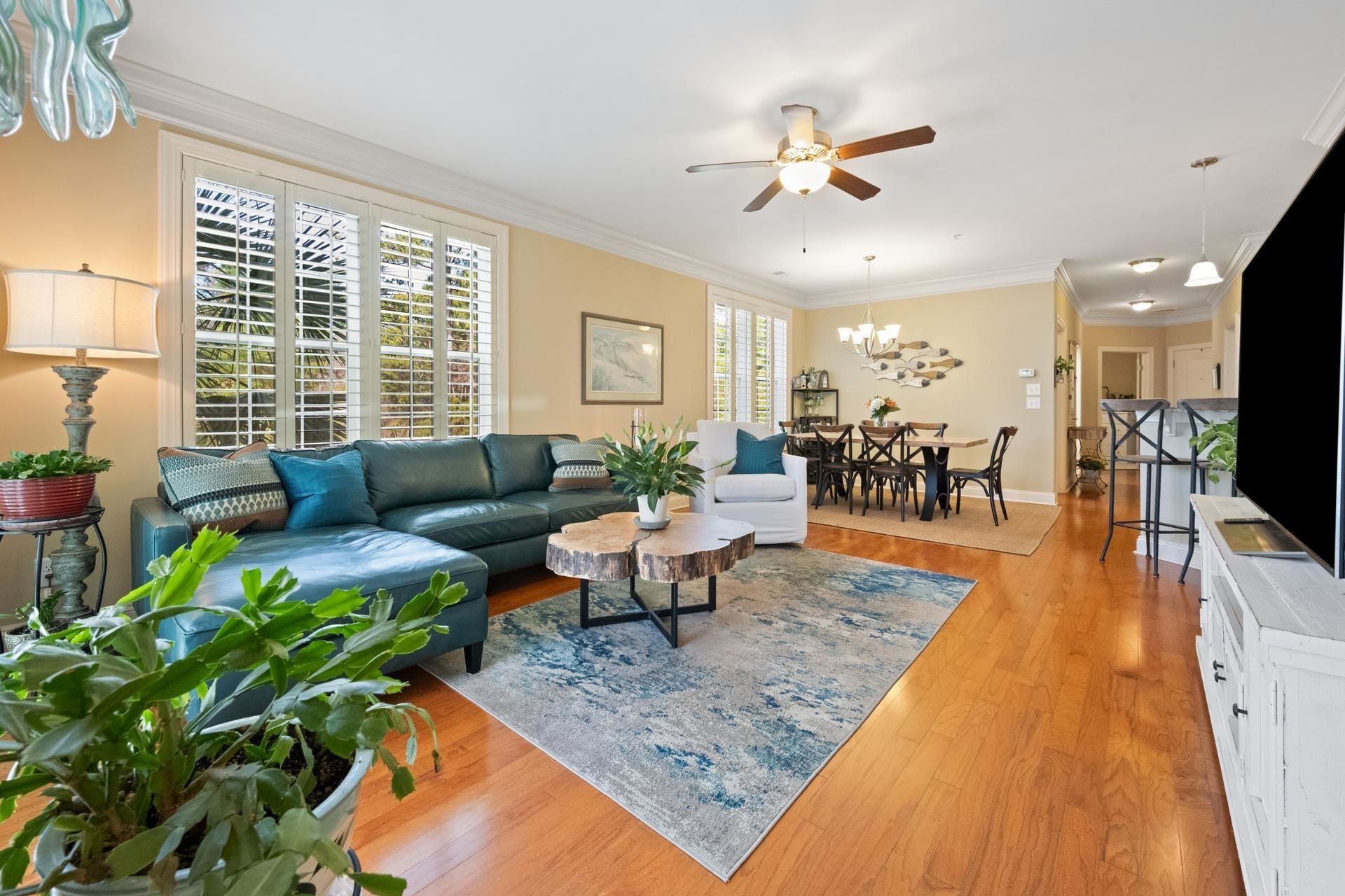 48 Mingo Dr. Photo 5