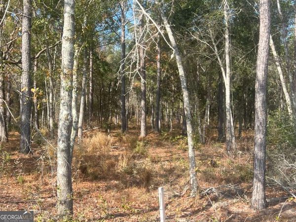 9.59 AC Jarriel'S Bridge Spur Road, Collins, GA 30421