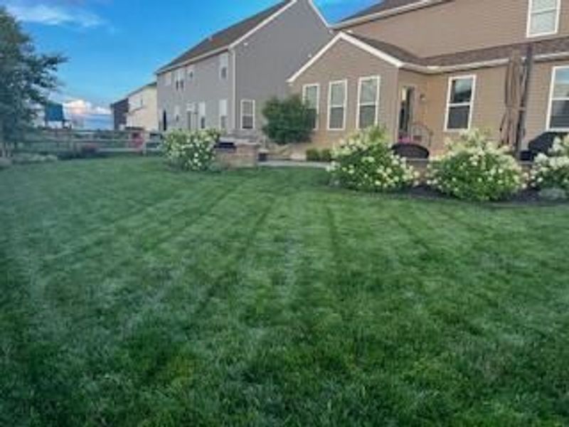 160 Chestnut Commons Drive, Commercial Point, OH 43116 Photo 49