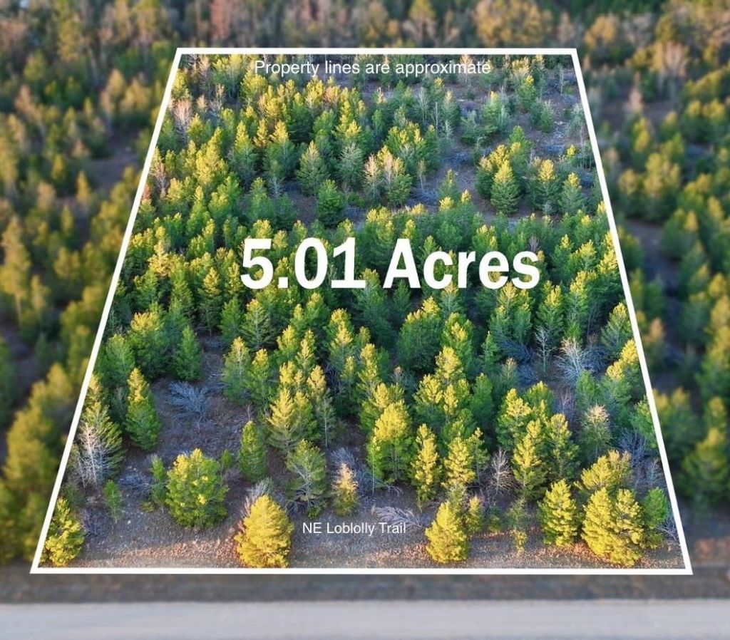 0000 NE Loblolly Trail, Lee, FL 32059 Main Photo