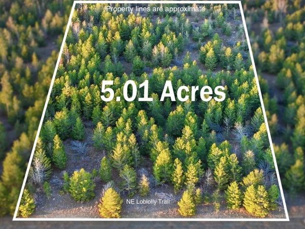 0000 NE Loblolly Trail, Lee, FL 32059