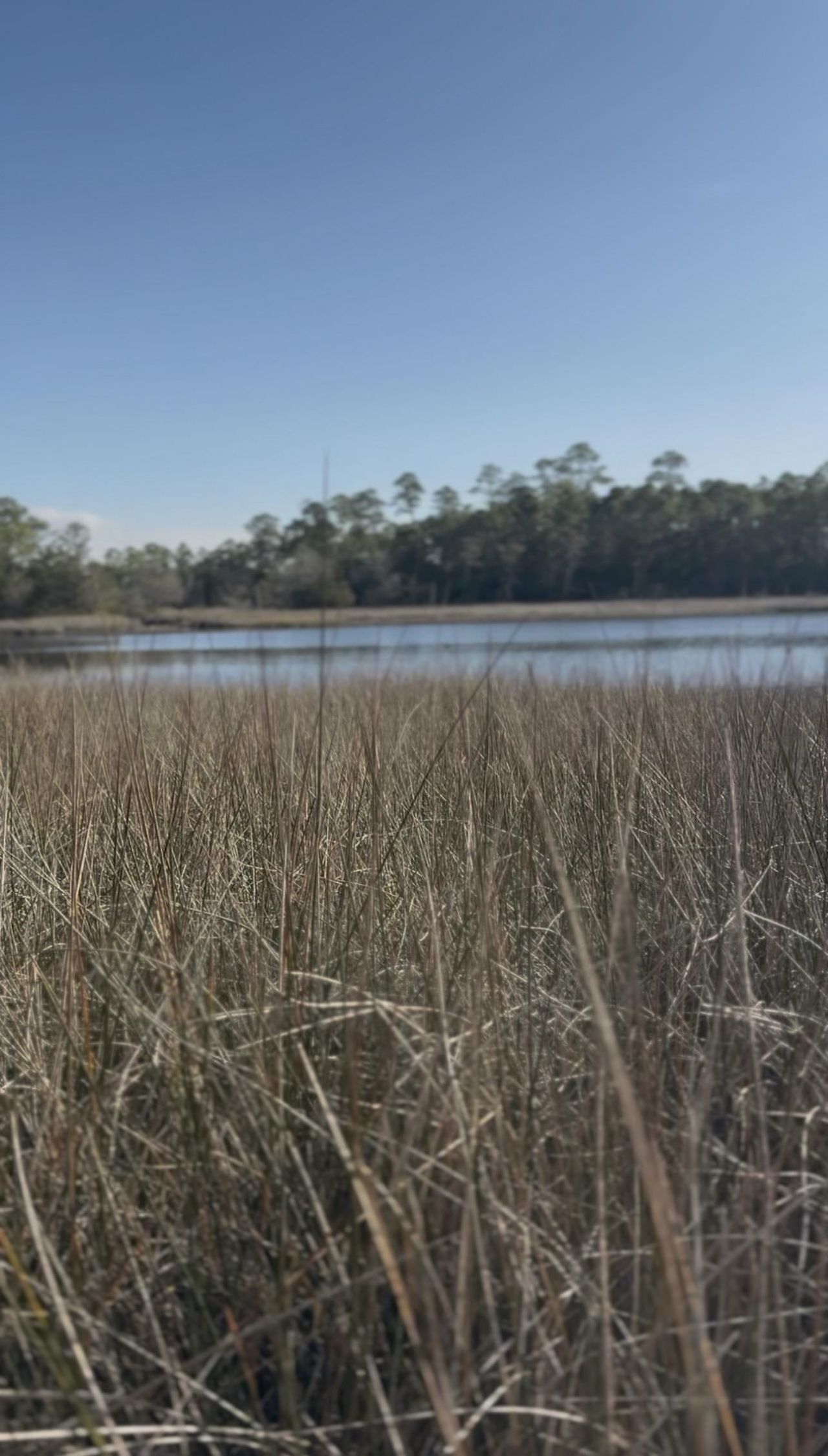 Lot 3 Chattahoochee Street, Panacea, FL 32346 Photo