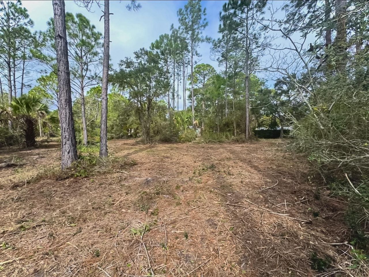Lot 4 Chattahoochee Street, Panacea, FL 32346 Photo