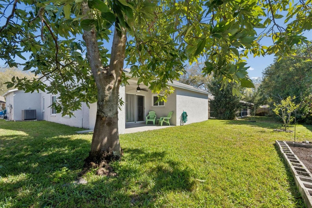 1489 Ridge Shore Drive, Tarpon Springs, FL 34689 Photo