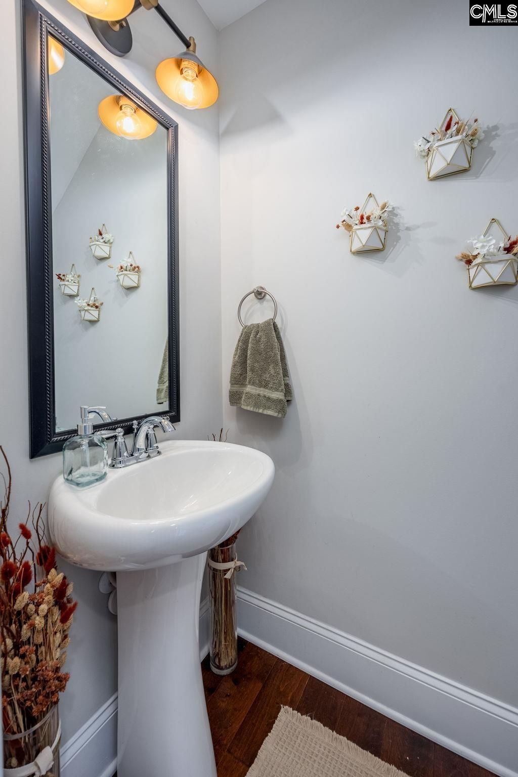 691 Gladiolus Photo 28