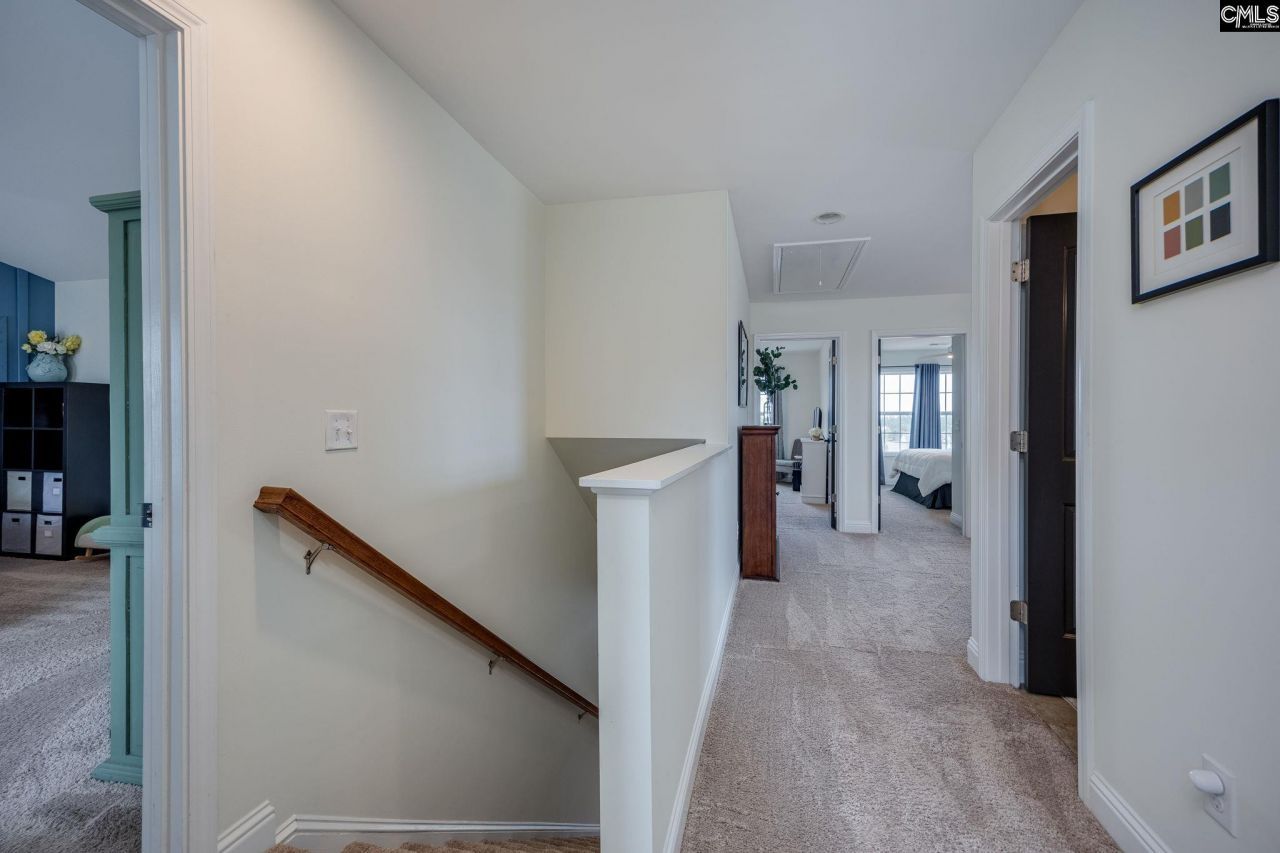 691 Gladiolus Photo 29