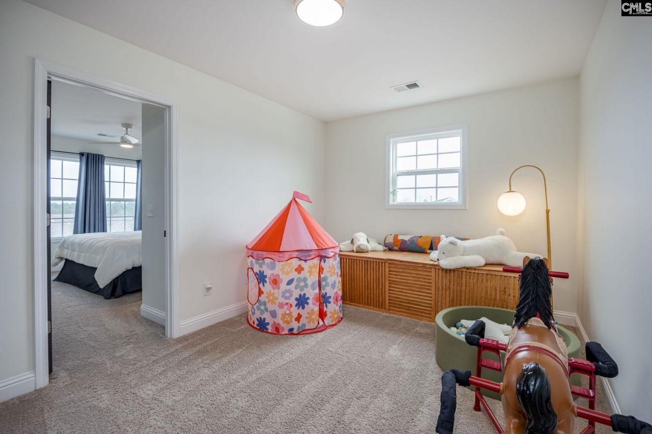 691 Gladiolus Photo 30