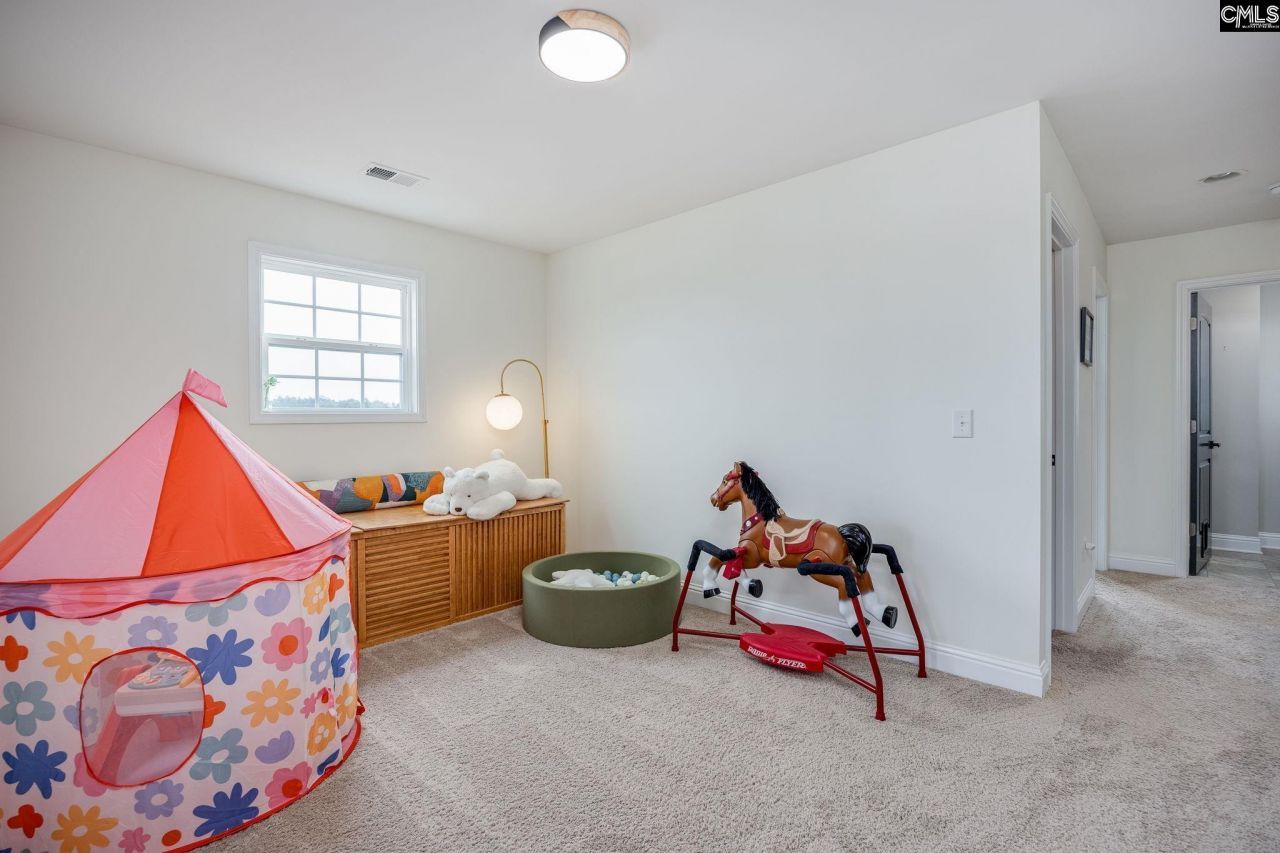 691 Gladiolus Photo 31