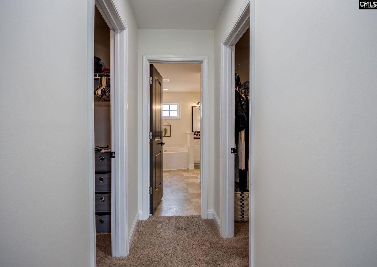 691 Gladiolus Photo 35