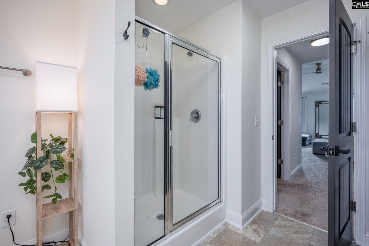 691 Gladiolus Photo 40