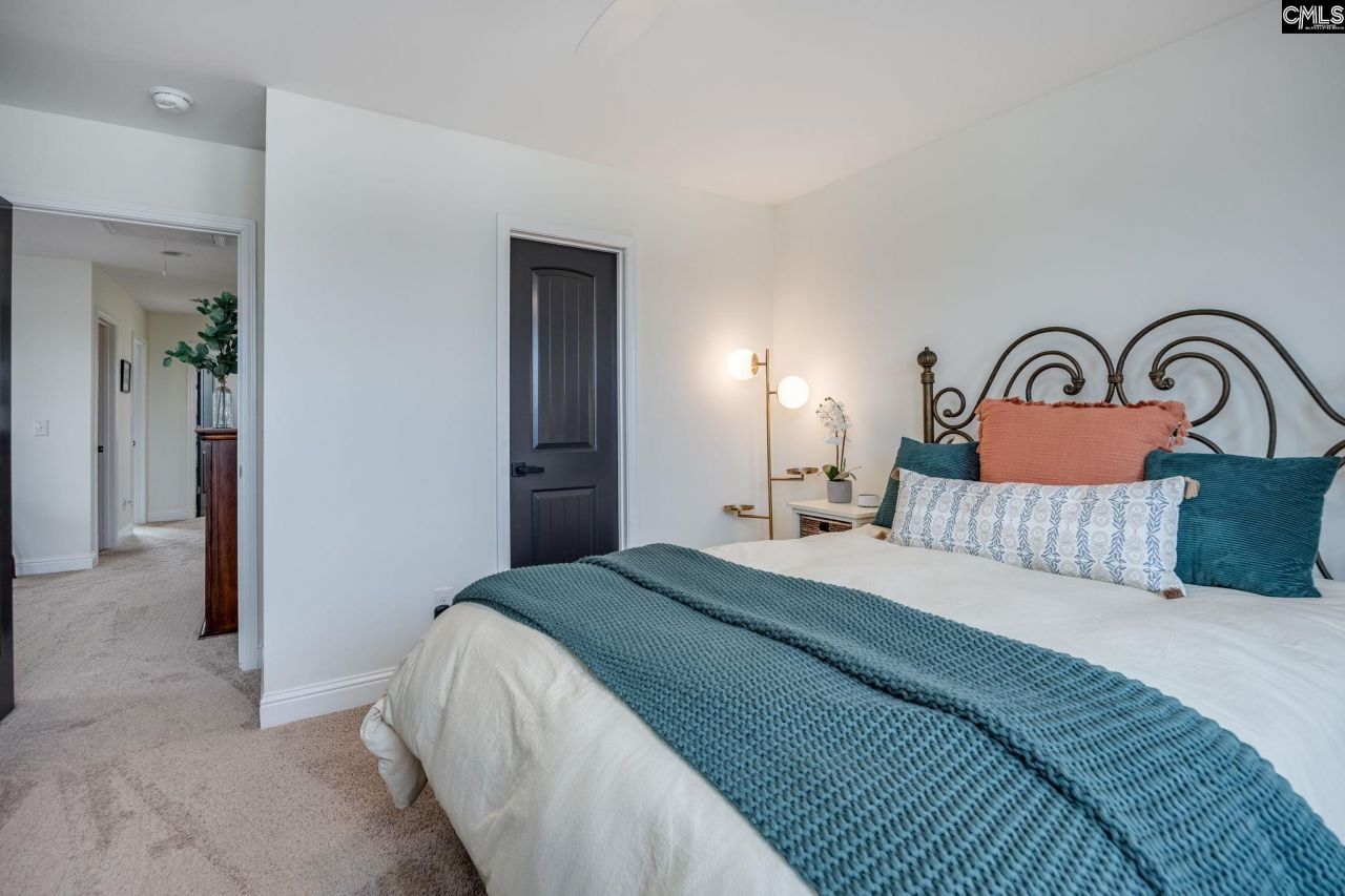 691 Gladiolus Photo 42