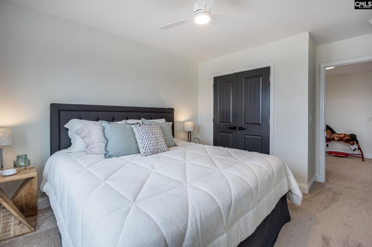 691 Gladiolus Photo 44