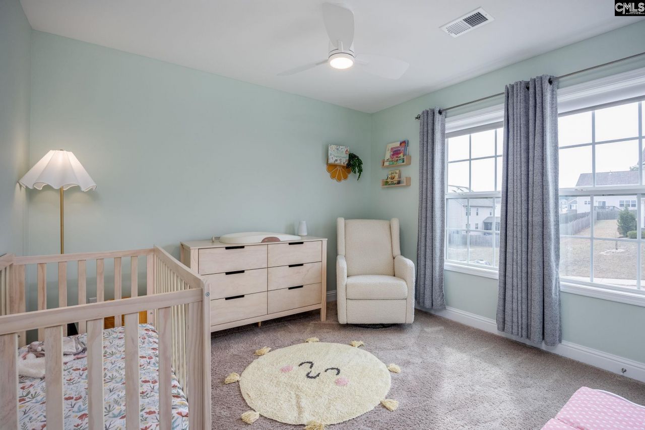 691 Gladiolus Photo 45