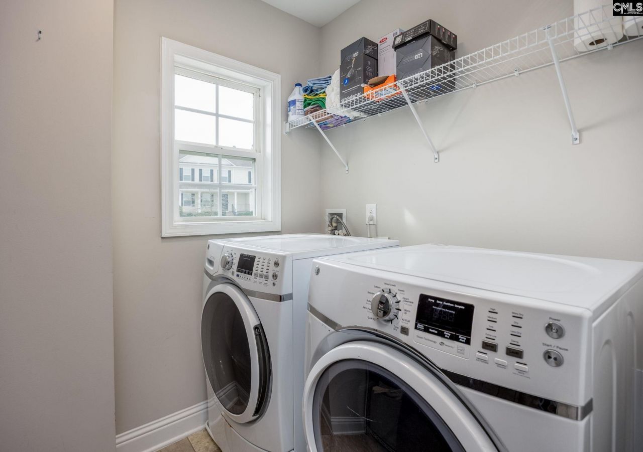 691 Gladiolus Photo 49