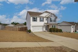 691 Gladiolus photo 4